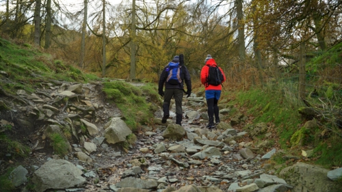 featured image thumbnail for post The Lake District